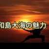 和島大海の魅力